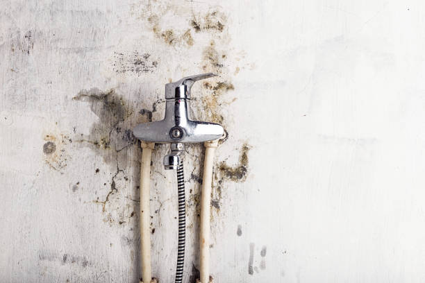 Best Water Damage Restoration  in Westville, NJ