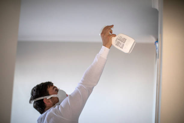 Best Toxic Mold Removal  in Westville, NJ